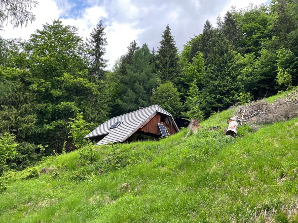 Architect'S Cottage - Serenity And Greenery In The Highlands Soča Εξωτερικό φωτογραφία